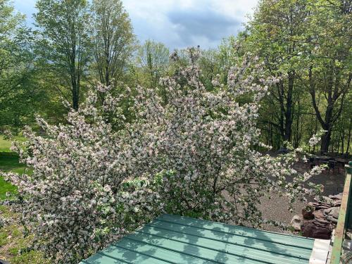 Gallery image of Georgian Garden in Windham