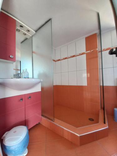 a bathroom with a shower and a toilet and a sink at Arjana & Nelaj Apartments in Ksamil