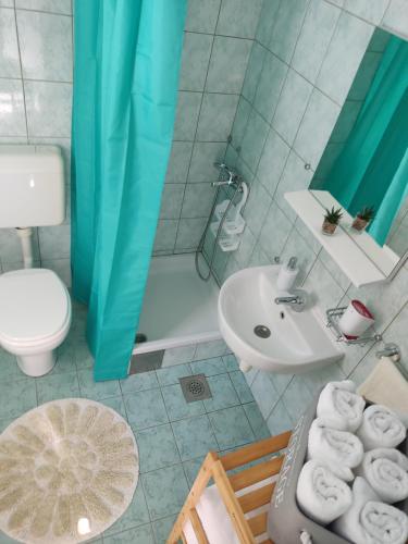ein Bad mit einem Waschbecken, einem WC und einer Dusche in der Unterkunft Apartment Zagalo in Sveta Nedelja