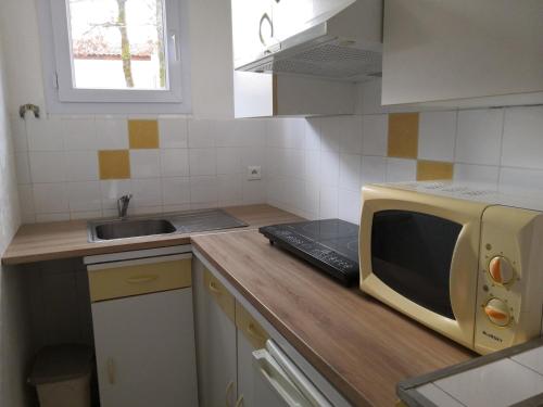 a microwave sitting on a counter in a kitchen at CAMPING HERMITAGE DES 4 SAISONS in Saint-Julien-de-Bourdeilles