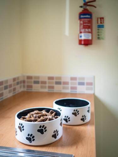 two bowls of food sitting on top of a kitchen counter at Eagle Lodge - Aviemore Lodges in Aviemore
