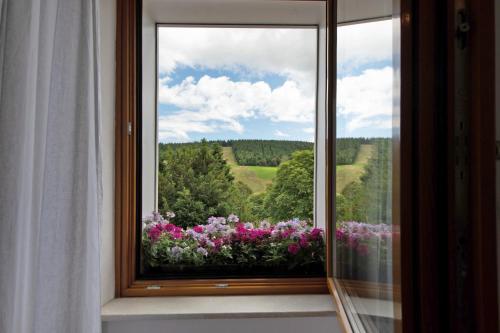 a window with a view of a field of flowers at Haus Bergruh Fuchsbau in Todtnauberg