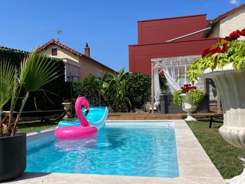 un cygne rose et bleu dans une piscine dans l'établissement L'ESCALE Chambres et table d'hôtes, à Verdun-sur-le-Doubs