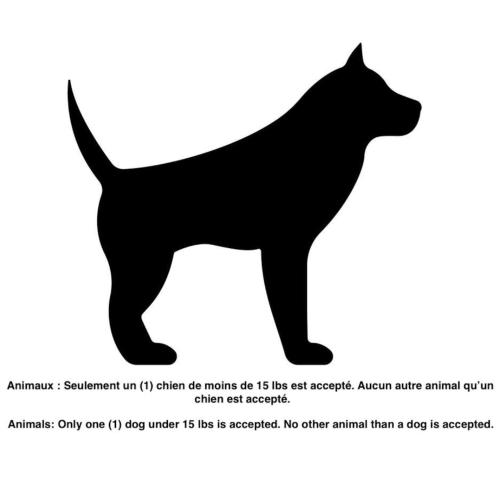 a black dog silhouette isolated on a white background at INITIAL - MAITRE - Chutes-Montmorency in Boischâtel