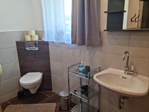 a small bathroom with a toilet and a sink at Haus Huber in Bach