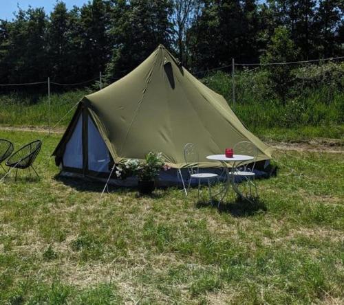 Zelt mit Tisch und Stühlen auf einem Feld in der Unterkunft Campingspots to put on your own tent with or without electricity, with no bed for 12 euro or 25 euro and 2 furnished glampingtents for minimum 75 euro in a green and peaceful environment between Antwerp and Brussels 