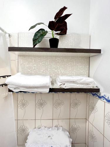 a shelf with towels and a plant on a wall at Margarita's room in Morales