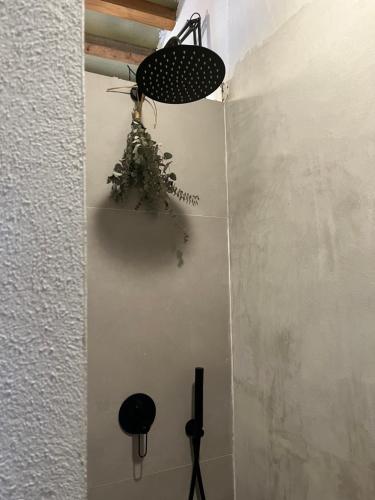 a light hanging on a wall with a plant at Luxury Apartment Stancesvic LOFT (New) in Vic