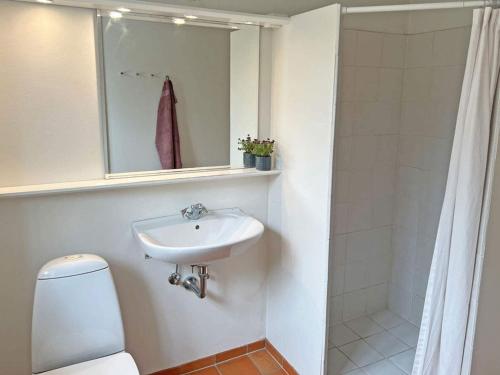 ein Bad mit einem Waschbecken, einem WC und einer Dusche in der Unterkunft Holiday home Svaneke LVI in Svaneke