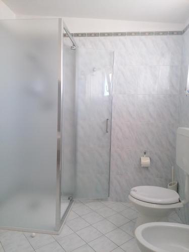 a bathroom with a shower and a toilet and a sink at B&B Al Verde & Mare in Porto Garibaldi