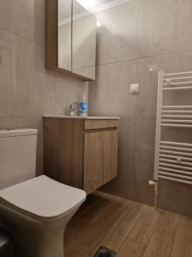 e bagno con servizi igienici, lavandino e doccia. di SKG City Loft a Salonicco