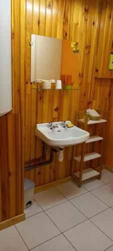 uma casa de banho com um lavatório e uma parede de madeira em Gîte du bel air em Festigny