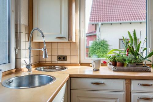 eine Küche mit einem Waschbecken und ein Fenster mit Pflanzen in der Unterkunft Landhausappartment in Bermatingen
