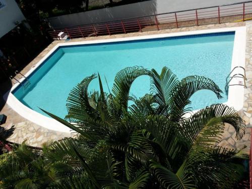 un palmier en face d'une piscine dans l'établissement Blue Coral Beachfront Penthouse, à Flic-en-Flac