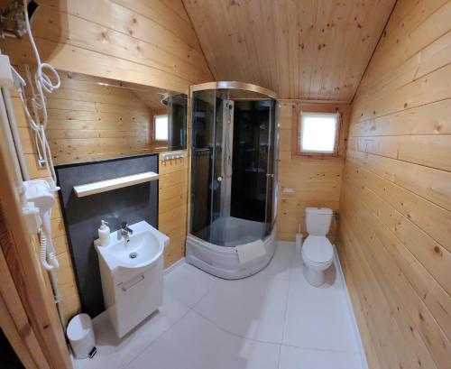 a bathroom with a shower and a sink and a toilet at Domki i pokoje Linda Zator in Zator