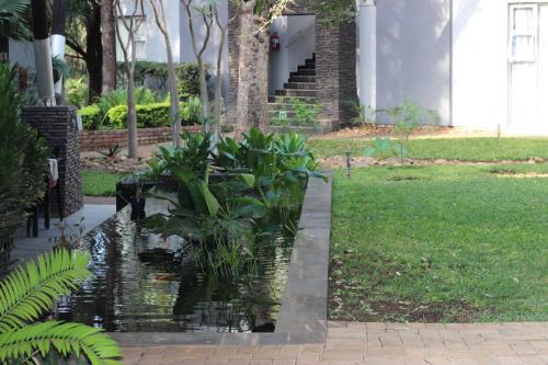 a pond in the yard of a house at Ecolux Boutique Hotel in Komatipoort