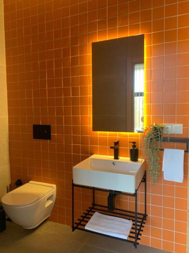 a bathroom with a sink and a toilet and a mirror at Mono house kartepe in Kocaeli