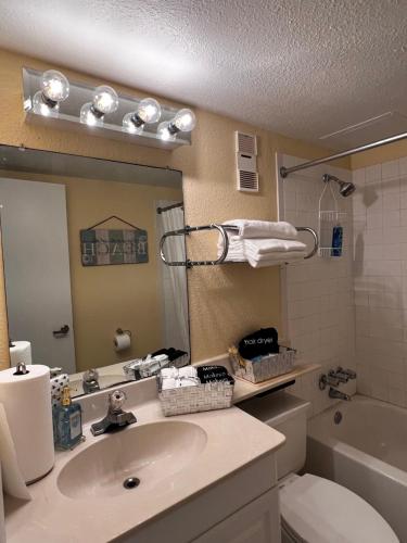 a bathroom with a sink and a toilet and a mirror at Oceanfront Oasis in Daytona Beach