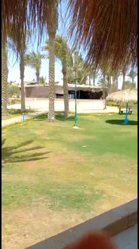 a view of a park with palm trees and a building at شاليه فندقي ڤيو البحر Ain sokhna-families& married only in Ain Sokhna