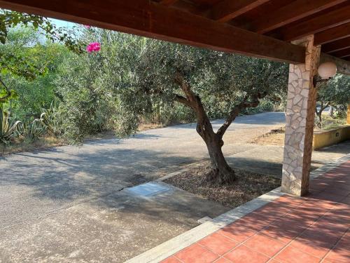 Zahrada ubytování Villa Sanzone
