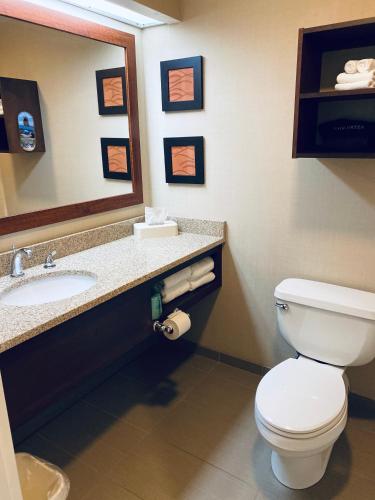 a bathroom with a toilet and a sink and a mirror at Comfort Inn & Suites Sturbridge-Brimfield in Sturbridge