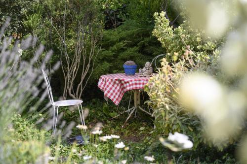 une table avec un chiffon de table rouge et blanc dans l'établissement Le Jardin Yuccas - Cosy cottage in the Loir& Loire Valleys, à La Chapelle-aux-Choux