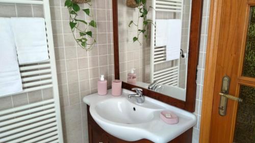 諾切勞恩布拉的住宿－I Tre Lecci，一间带水槽和镜子的浴室