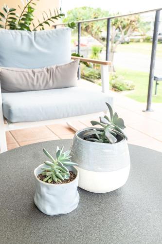 two potted plants sitting on top of a table at Stones Throw To Shelly Beach, Pet Friendly! in Caloundra