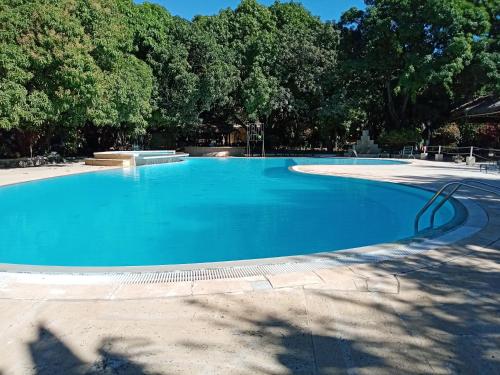 a large blue swimming pool with trees in the background at SUNNY HOTEL MAHAJANGA in Mahajanga