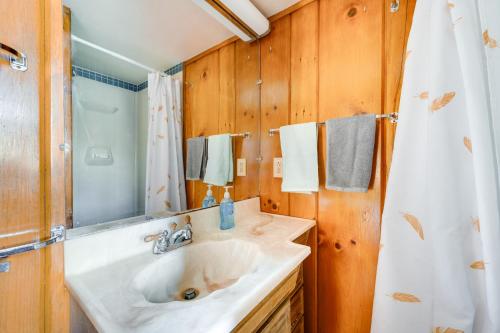 a bathroom with a sink and a shower curtain at Franconia Home with Piano, Fire Pit and Community Pool in Franconia