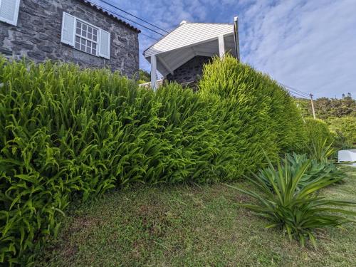 Κήπος έξω από το Casas do Horizonte
