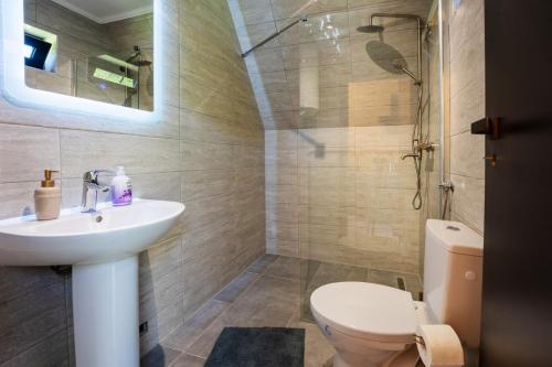 a bathroom with a sink and a toilet and a shower at Ungefug A-Frame Sighisoara in Sighişoara