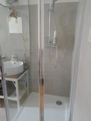 een badkamer met een douche en een wastafel bij Bright & Cosy Room with Own Shower and Kitchenette in Praag