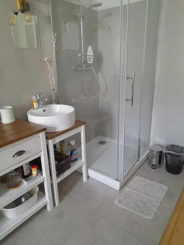 een witte badkamer met een douche en een wastafel bij Bright & Cosy Room with Own Shower and Kitchenette in Praag