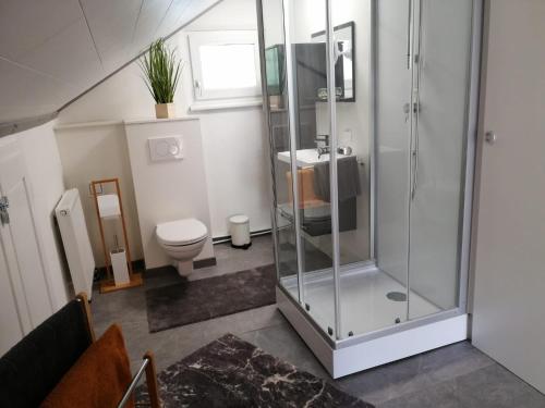 a bathroom with a glass shower and a toilet at Apartments Haus Erna in Weitra