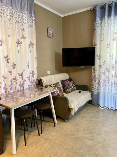 Μια τηλεόραση ή/και κέντρο ψυχαγωγίας στο Квартира Raduga West Studio