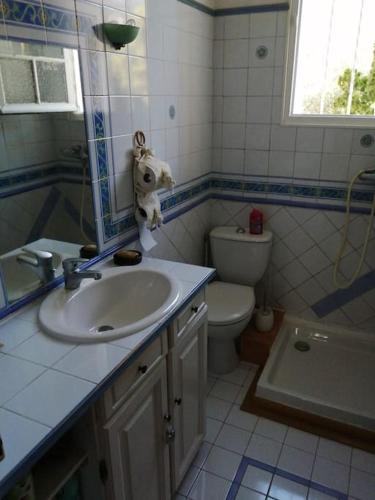 une salle de bain avec un lavabo et des toilettes dans l'établissement Maison Toulon ouest, à Toulon