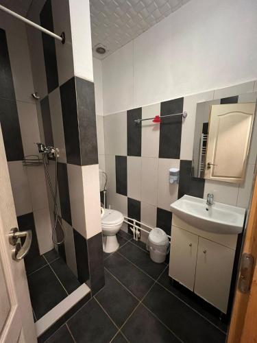 a bathroom with a sink and a toilet at CASA ARIAN in Haţeg