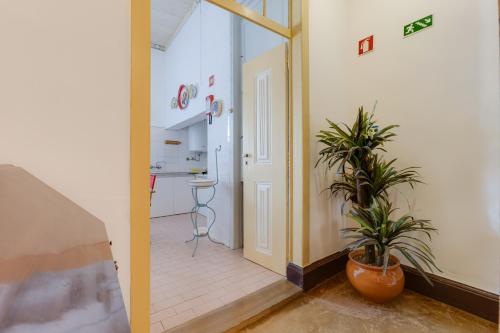 a hallway with a door and two plants in a room at Casa Dorothea in Cercal