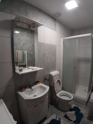 ein Bad mit einem WC, einem Waschbecken und einer Dusche in der Unterkunft Stan na dan Modriča in Modriča