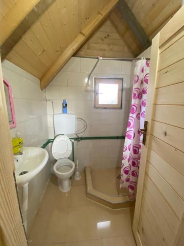 Baño pequeño con aseo y lavamanos en Wooden houses Bojovic en Gusinje