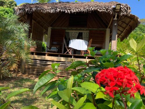 a house with a thatch roof and a red flower at Les Jardins d'Ankify in Ankify