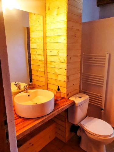 La salle de bains est pourvue d'un lavabo et de toilettes. dans l'établissement Zorra Challet, à Eşelniţa