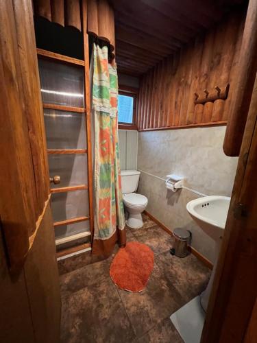 un baño con inodoro y lavabo en Salto del Indio - Cabañas Lemunantu, en Manzanar