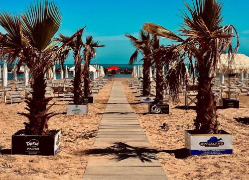 a pathway on a beach with palm trees and chairs at Viva Suitesboat in Marina di Montenero