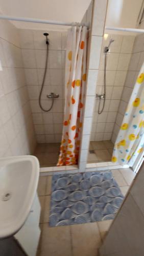陶波爾曹的住宿－Malom-tavi vendeghaz，带淋浴、卫生间和盥洗盆的浴室