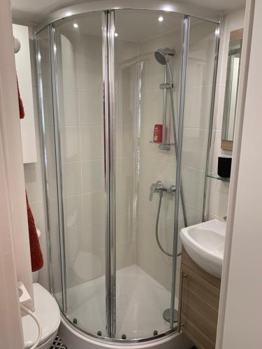 une salle de bain avec une douche, des toilettes et un lavabo dans l'établissement STUDIO PARIS ODEON, à Paris