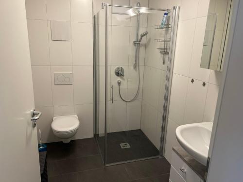 a bathroom with a shower and a toilet and a sink at Martini Pension Rammert Ferienwohnung in Nürtingen