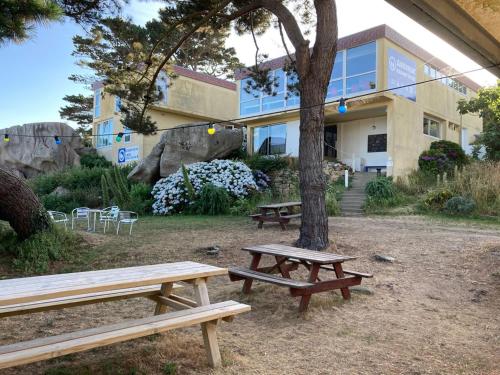 Zahrada ubytování Auberge Granit Rose - Hébergement partagé en Auberge de Jeunesse - Vue sur mer - Dortoir mixte & Camping