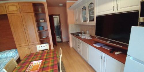 Kuchyň nebo kuchyňský kout v ubytování Anne apartman Siófok